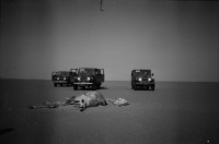 Image of sheet 19820140 photo 0: Drei Toyota Landcruiser Offroader stehen vor einem Kamel Skelett, Sudan 1982.
Wüste Desert