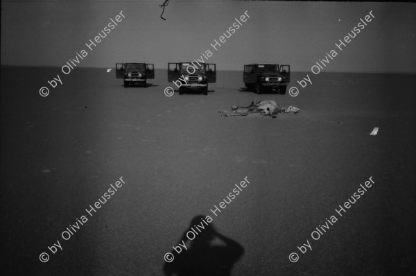 Image of sheet 19820140 photo 1: Drei Toyota Landcruiser Offroader stehen vor einem Kamel Skelett, Sudan 1982.