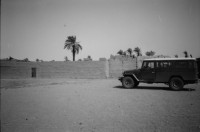 Image of sheet 19820140 photo 10: Drei Toyota Landcruiser Offroader stehen vor einem Kamel Skelett, Sudan 1982.