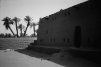 Image of sheet 19820140 photo 13: Drei Toyota Landcruiser Offroader stehen vor einem Kamel Skelett, Sudan 1982.