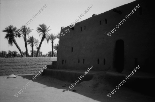 Image of sheet 19820140 photo 13: Drei Toyota Landcruiser Offroader stehen vor einem Kamel Skelett, Sudan 1982.