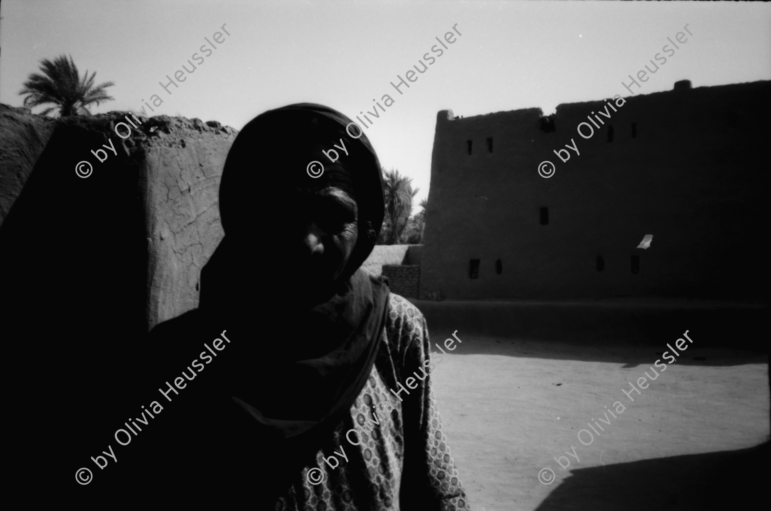 Image of sheet 19820140 photo 14: Drei Toyota Landcruiser Offroader stehen vor einem Kamel Skelett, Sudan 1982.