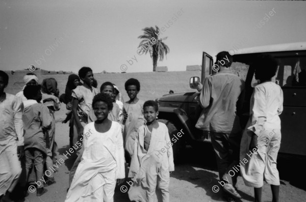 Image of sheet 19820140 photo 19: Drei Toyota Landcruiser Offroader stehen vor einem Kamel Skelett, Sudan 1982.