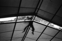 Image of sheet 19820170 photo 11: Ausstellung über jüdische Kunst in der Schweiz im Zürcher Helmhaus. Stammbaum. Alis Guggenheim Bilder. Ruth Guggenheim Heussler. Portrait Olivia. Schatten eines Mannes auf dem Theater Zelt von Luft und Lärm, L+L auf Kanzleiareal, Leute. Mann zügelt mit Handwagen. «Aktion 1 a Frauenfleisch» und 'vakuumverpackt', steht auf einem Frauenfeindlichen Plakat, an der Weststrasse. Portrait Olivia und Christoph Schuler im Restaurant Tübli. Elefanten vom Zirkus Knie werden für Propaganda zwecke durch die Stadt geführt. An der Wand an der Storchengasse steht: «Gegen die Trakte» Zürich Graffitti Wandmalerei Mural Zürich 1982