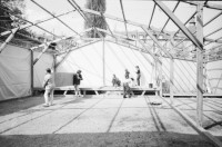 Image of sheet 19820170 photo 15: Ausstellung über jüdische Kunst in der Schweiz im Zürcher Helmhaus. Stammbaum. Alis Guggenheim Bilder. Ruth Guggenheim Heussler. Portrait Olivia. Schatten eines Mannes auf dem Theater Zelt von Luft und Lärm, L+L auf Kanzleiareal, Leute. Mann zügelt mit Handwagen. «Aktion 1 a Frauenfleisch» und 'vakuumverpackt', steht auf einem Frauenfeindlichen Plakat, an der Weststrasse. Portrait Olivia und Christoph Schuler im Restaurant Tübli. Elefanten vom Zirkus Knie werden für Propaganda zwecke durch die Stadt geführt. An der Wand an der Storchengasse steht: «Gegen die Trakte» Zürich Graffitti Wandmalerei Mural Zürich 1982