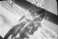 Image of sheet 19820210 photo 7: W