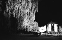 Image of sheet 19820280 photo 20: Theaterspektakel Nachtbilder vom Platz. Zirkuswagen Nachts Baum beleuchtet. Scheinwerfer
Zürich 1982
