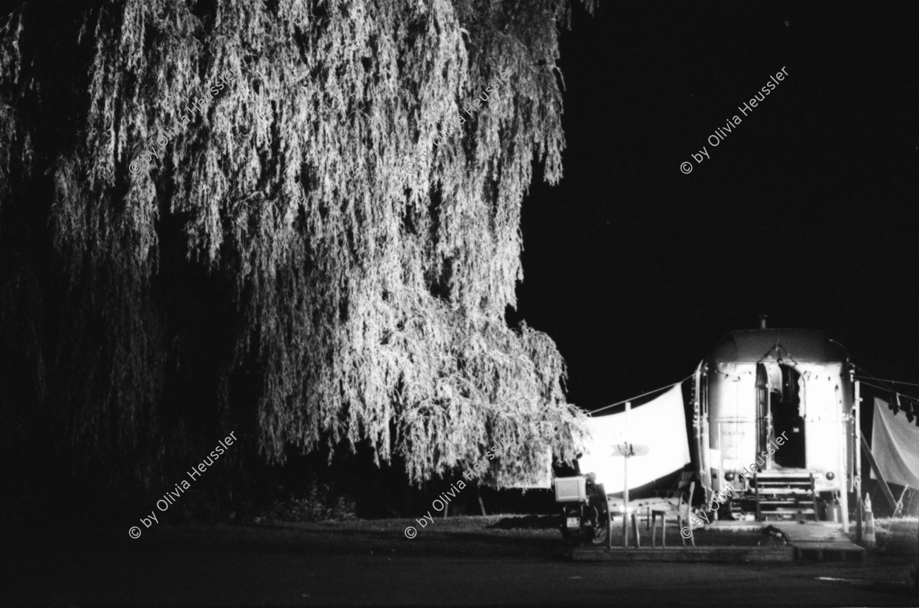 Image of sheet 19820280 photo 20: Theaterspektakel Nachtbilder vom Platz. Zirkuswagen Nachts Baum beleuchtet. Scheinwerfer
Zürich 1982