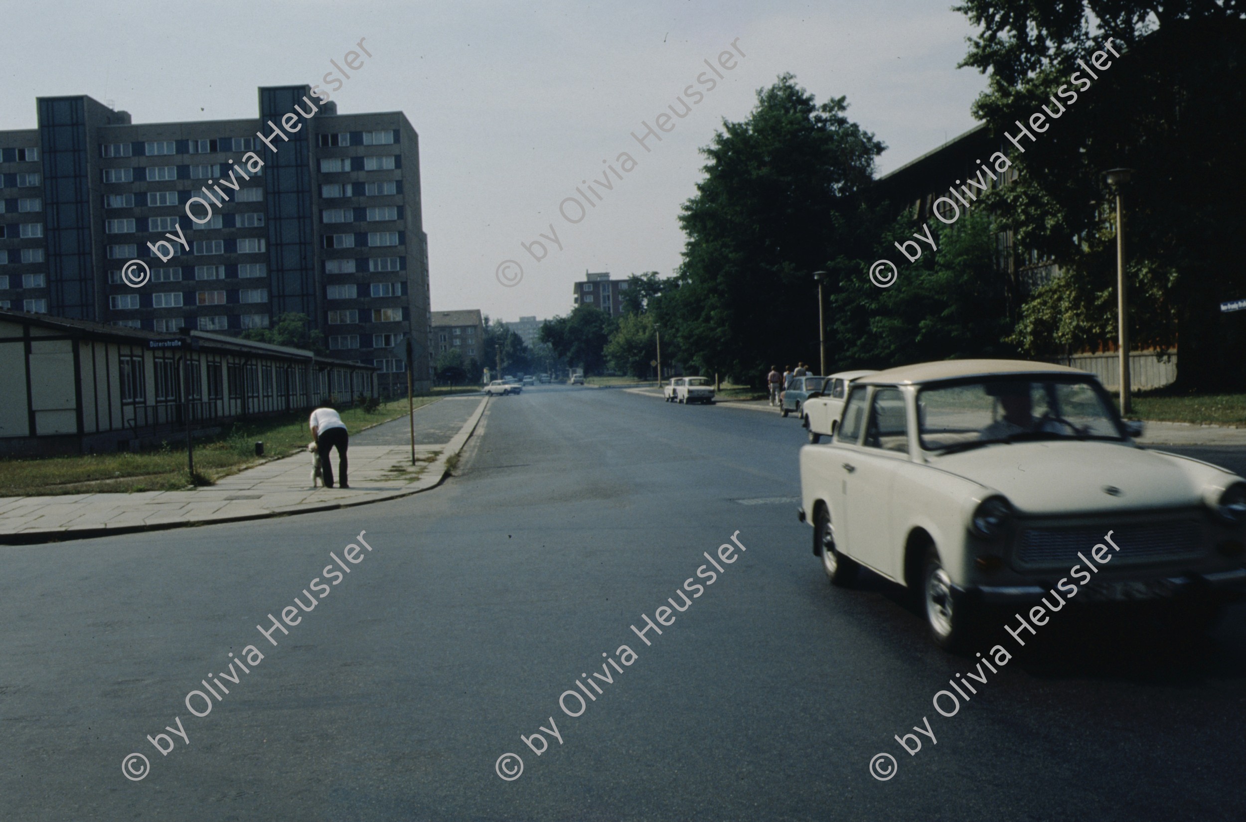 Image of sheet 19823000 photo 14: l