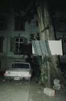 Image of sheet 19823000 photo 16: Besetztes Haus am Tessinerplatz, Zuerich, 1982.
occupied housing culture protest alternative wohnungsnot painting art wall Zürich Switzerland Schweiz
Exhibition: Zurich, The Eighties Photobastei Zürich 2020