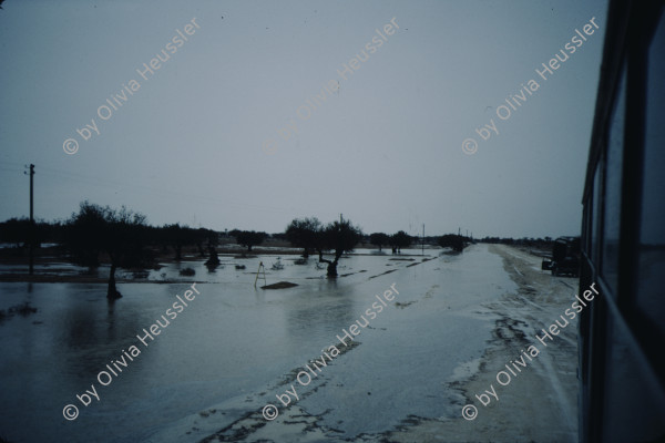 Image of sheet 19823001 photo 3: zur bearbeitung