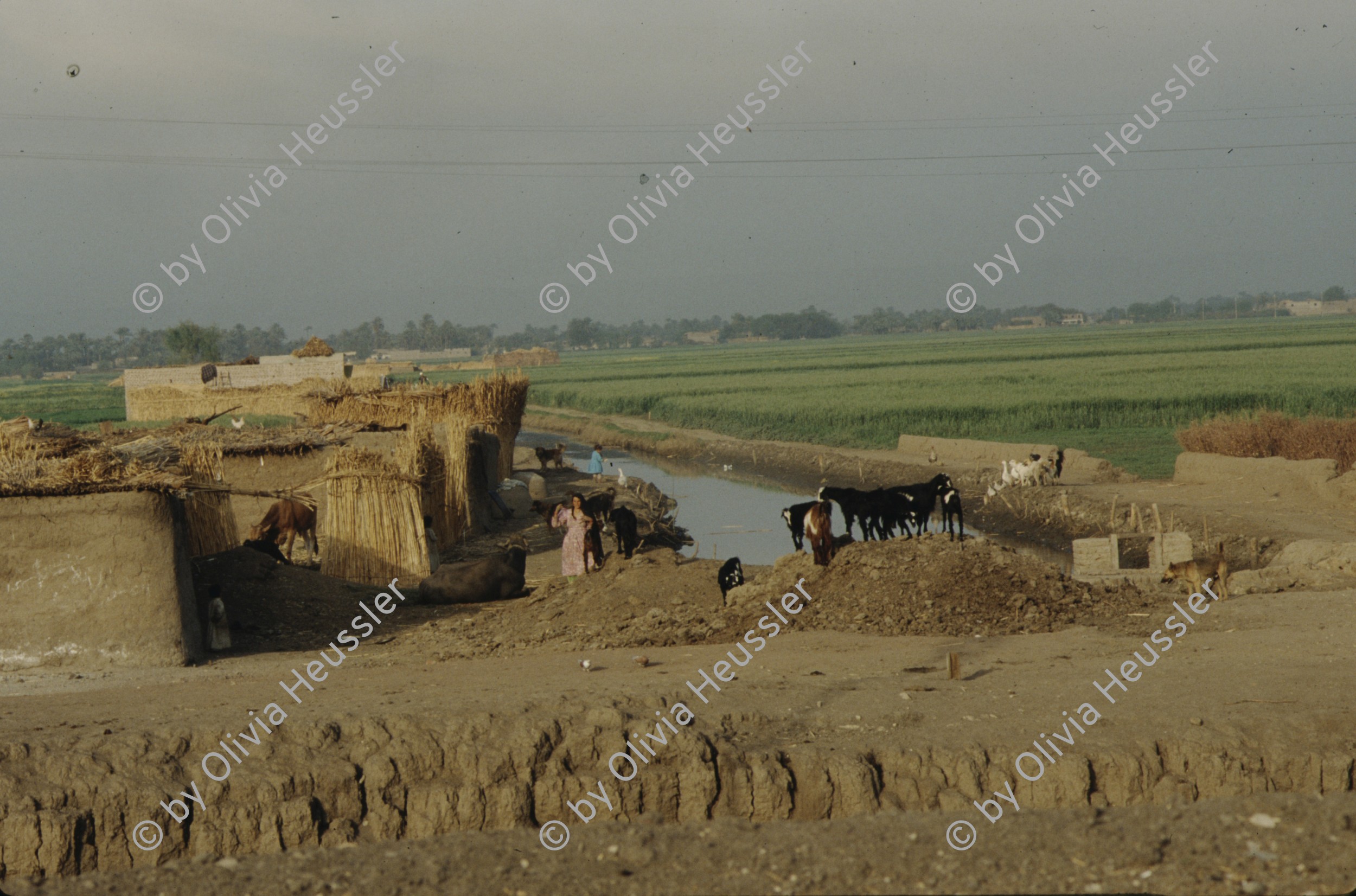 Image of sheet 19823002 photo 18: Aegypten und Sudan 1982.