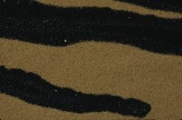 Image of sheet 19823002 photo 19: Aegypten und Sudan 1982.