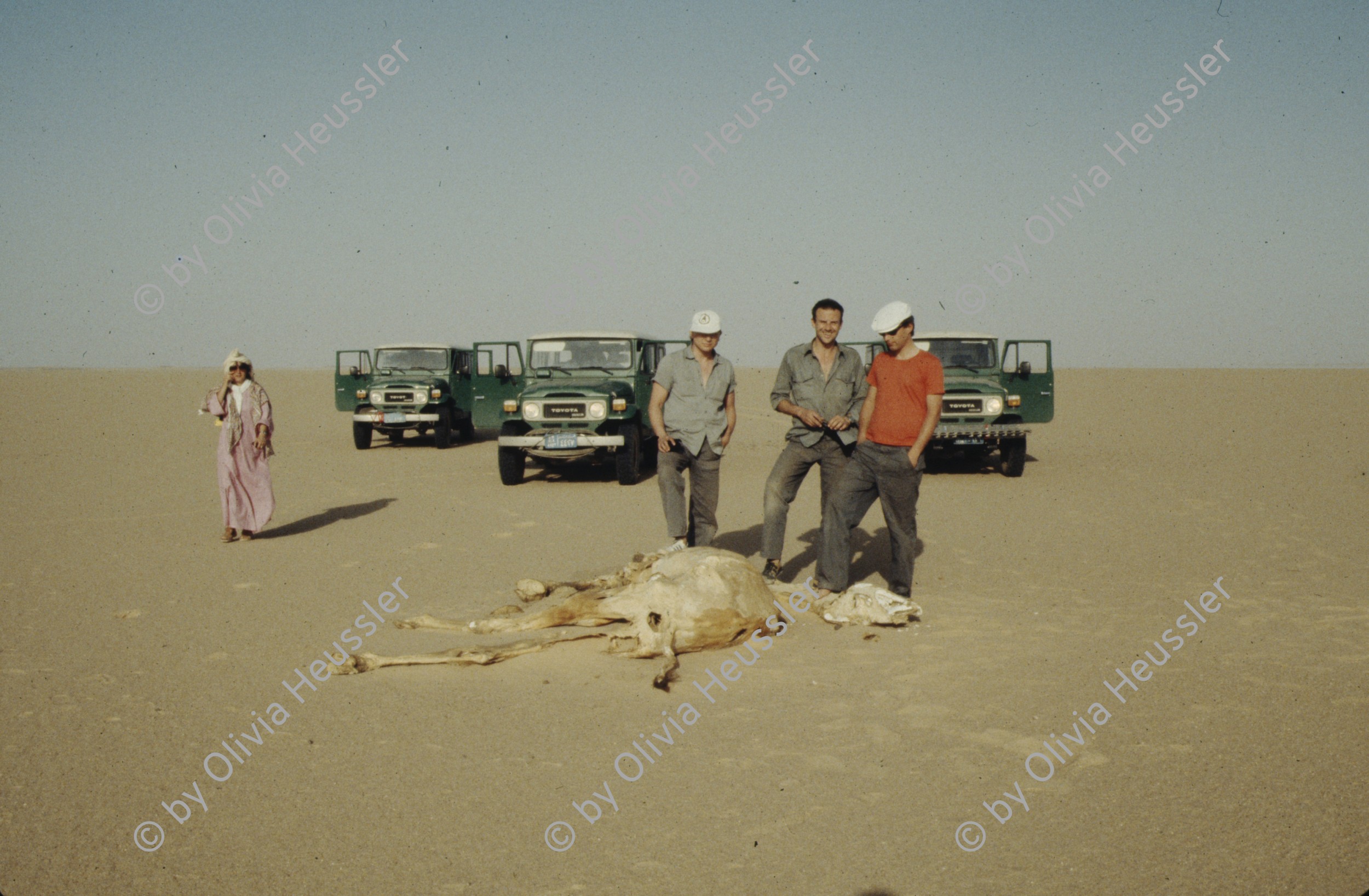 Image of sheet 19823002 photo 25: Toyota Jeep landcruiser Sudan, Totes