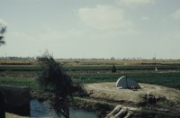 Image of sheet 19823002 photo 32: Aegypten und Sudan 1982.