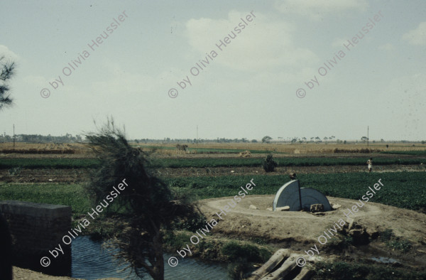 Image of sheet 19823002 photo 32: Aegypten und Sudan 1982.