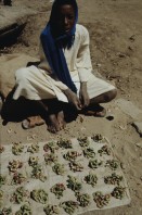 Image of sheet 19823002 photo 34: Aegypten und Sudan 1982.