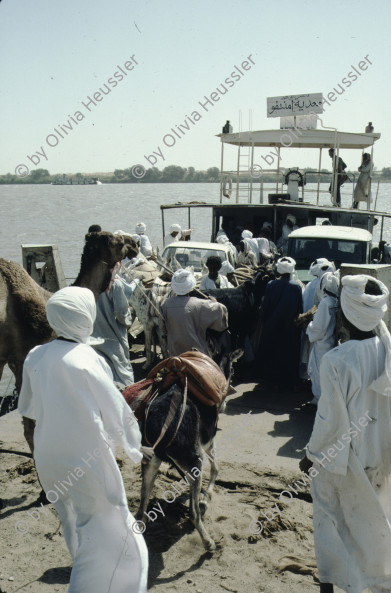 Image of sheet 19823002 photo 40: Aegypten und Sudan 1982.