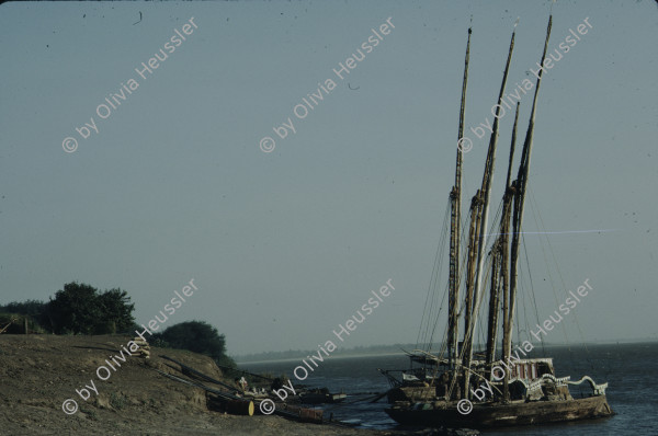 Image of sheet 19823002 photo 58: Aegypten und Sudan 1982.