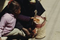 Image of sheet 19823002 photo 60: Aegypten und Sudan 1982.