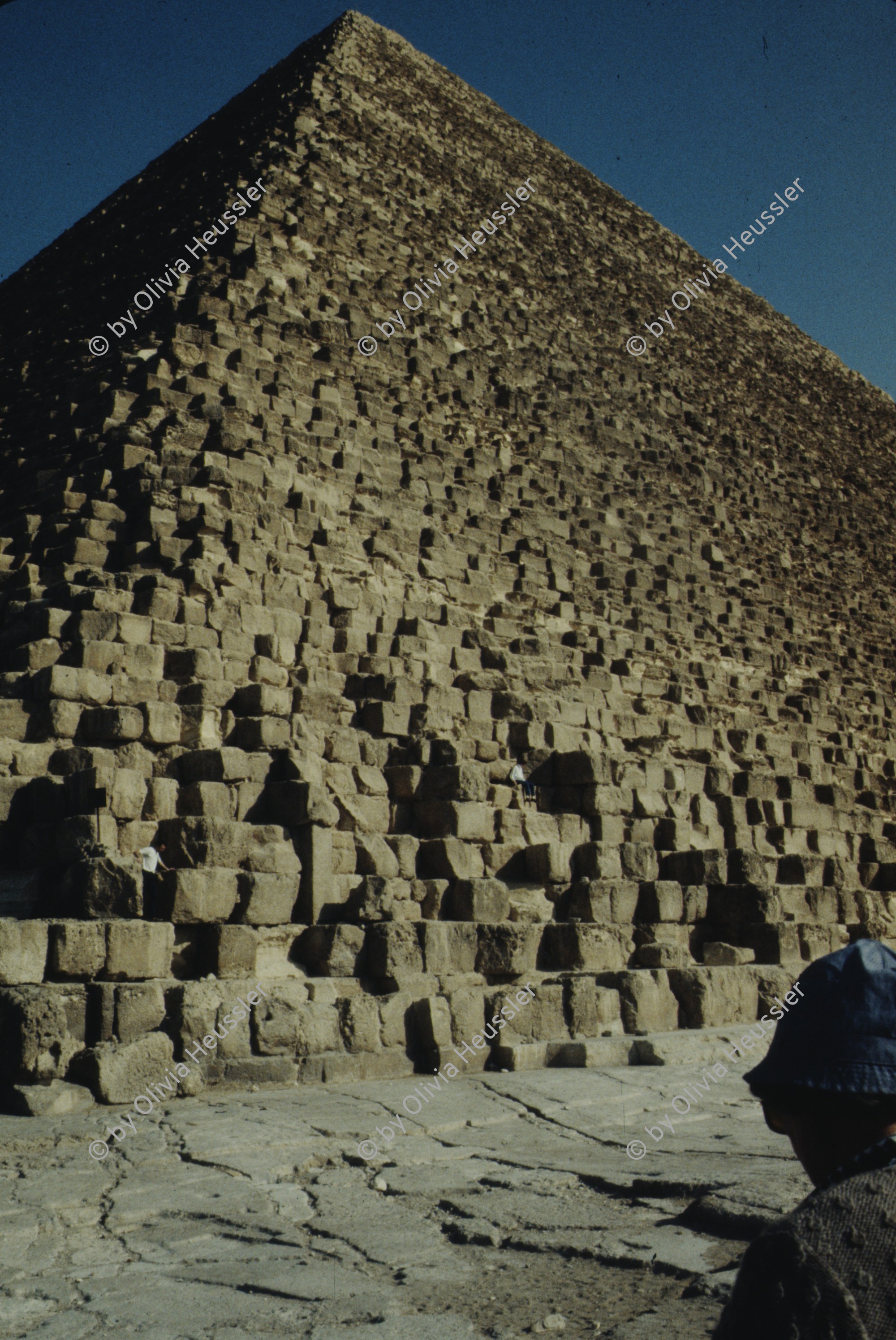 Image of sheet 19823002 photo 66: Aegypten und Sudan 1982.