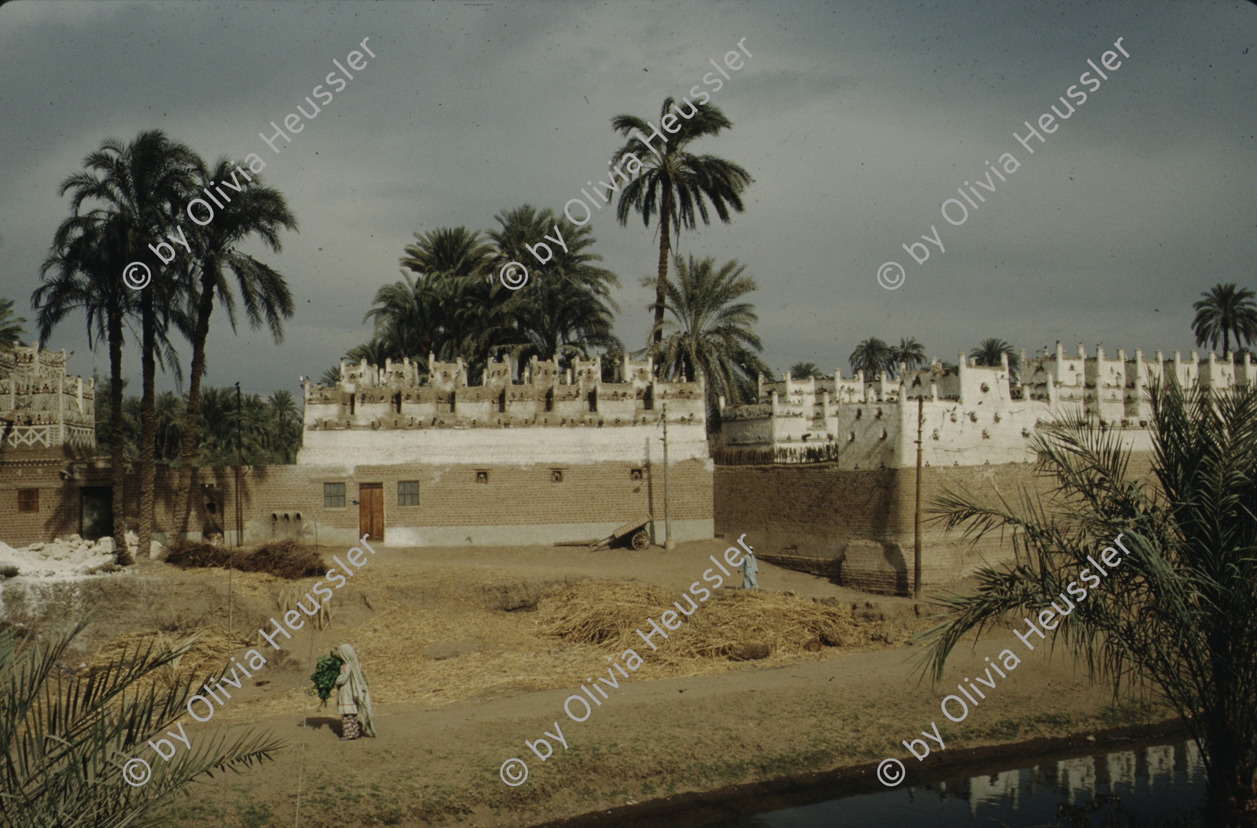 Image of sheet 19823002 photo 73: Aegypten und Sudan 1982.