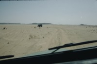 Image of sheet 19823002 photo 84: Aegypten und Sudan 1982.