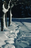 Image of sheet 19823004 photo 2: zur bearbeitung
