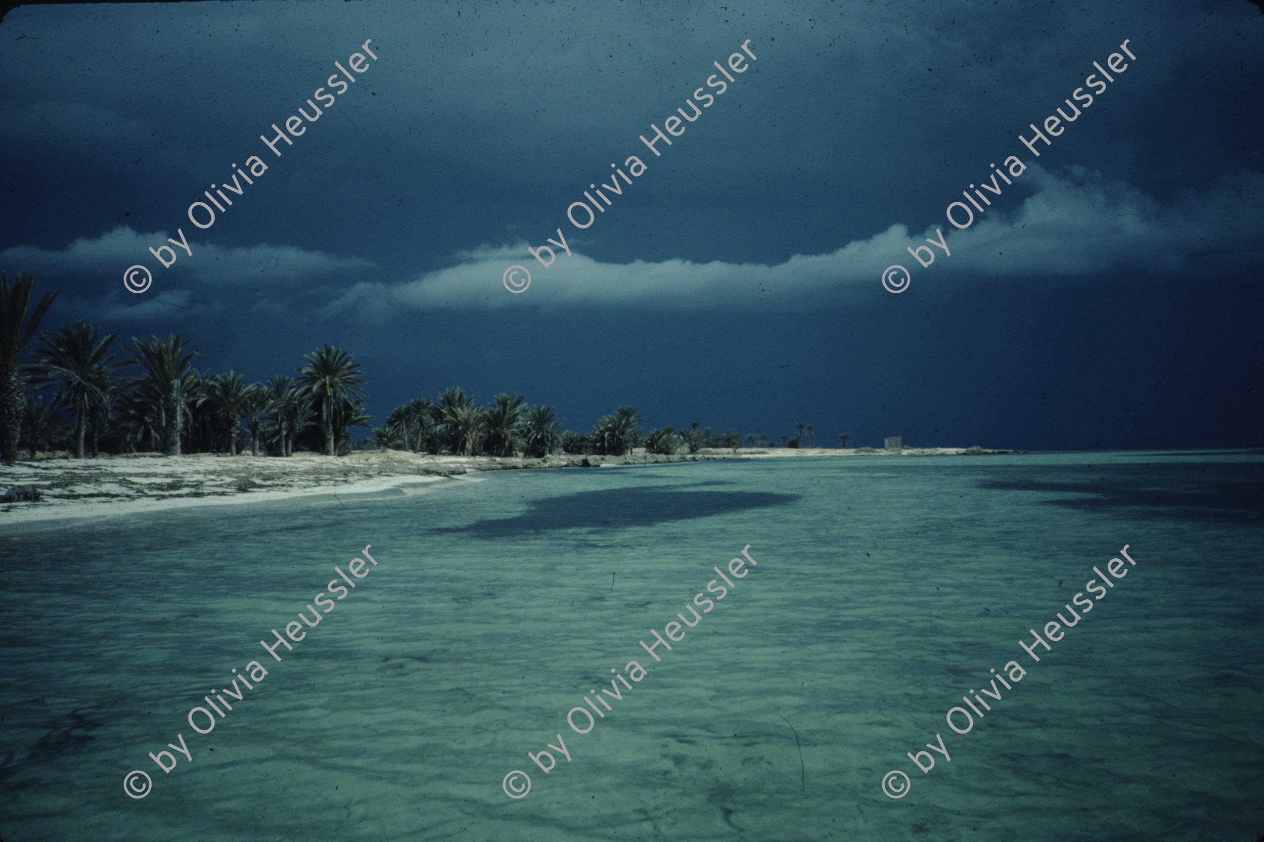 Image of sheet 19823004 photo 39: zur bearbeitung