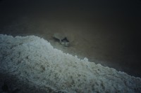 Image of sheet 19823004 photo 43: zur bearbeitung