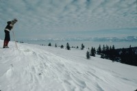 Image of sheet 19823004 photo 5: zur bearbeitung