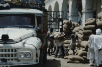 Image of sheet 19823005 photo 100: Aegypten und Sudan mit Jeeps für Eritrea 1982.