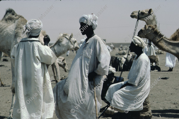 Image of sheet 19823005 photo 11: Aegypten und Sudan mit Jeeps für Eritrea 1982.