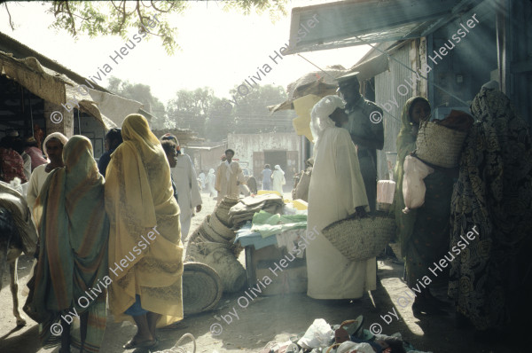 Image of sheet 19823005 photo 112: Aegypten und Sudan mit Jeeps für Eritrea 1982.