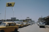 Image of sheet 19823005 photo 125: sudanesische Männer sitzen am Dromedar markt in einer Gruppe zusammen
Sudan 1982 √

The dromedary (pronounced /ˈdrɑmədɛɹi/ or /ˈdrɒmədri/) also called the Arabian camel or the Indian Camel (Camelus dromedarius) is a large, even-toed ungulate with one hump on its back.

Das Dromedar, auch als Einhöckriges oder Arabisches Kamel bezeichnet (Camelus dromedarius), ist eine Säugetierart aus der Gattung der Altweltkamele innerhalb der Familie der Kamele (Camelidae). Es ist als Last- und Reittier in weiten Teilen Asiens und Afrikas verbreitet, in seiner Wildform jedoch ausgestorben. Der Name kommt aus dem Griechischen δρομάς (dromás), was „laufend“ bedeutet. √
© 1982, by 0LIVIA HEUSSLER / www.clic.li