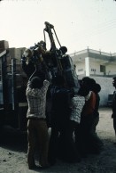 Image of sheet 19823005 photo 129: sudanesische Männer sitzen am Dromedar markt in einer Gruppe zusammen
Sudan 1982 √

The dromedary (pronounced /ˈdrɑmədɛɹi/ or /ˈdrɒmədri/) also called the Arabian camel or the Indian Camel (Camelus dromedarius) is a large, even-toed ungulate with one hump on its back.

Das Dromedar, auch als Einhöckriges oder Arabisches Kamel bezeichnet (Camelus dromedarius), ist eine Säugetierart aus der Gattung der Altweltkamele innerhalb der Familie der Kamele (Camelidae). Es ist als Last- und Reittier in weiten Teilen Asiens und Afrikas verbreitet, in seiner Wildform jedoch ausgestorben. Der Name kommt aus dem Griechischen δρομάς (dromás), was „laufend“ bedeutet. √
© 1982, by 0LIVIA HEUSSLER / www.clic.li