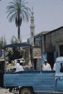 Image of sheet 19823005 photo 14: Aegypten und Sudan mit Jeeps für Eritrea 1982.
