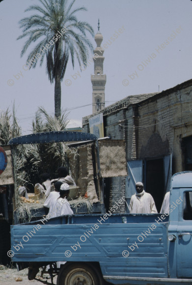 Image of sheet 19823005 photo 14: Aegypten und Sudan mit Jeeps für Eritrea 1982.