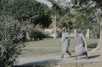Image of sheet 19823005 photo 39: Aegypten und Sudan mit Jeeps für Eritrea 1982.