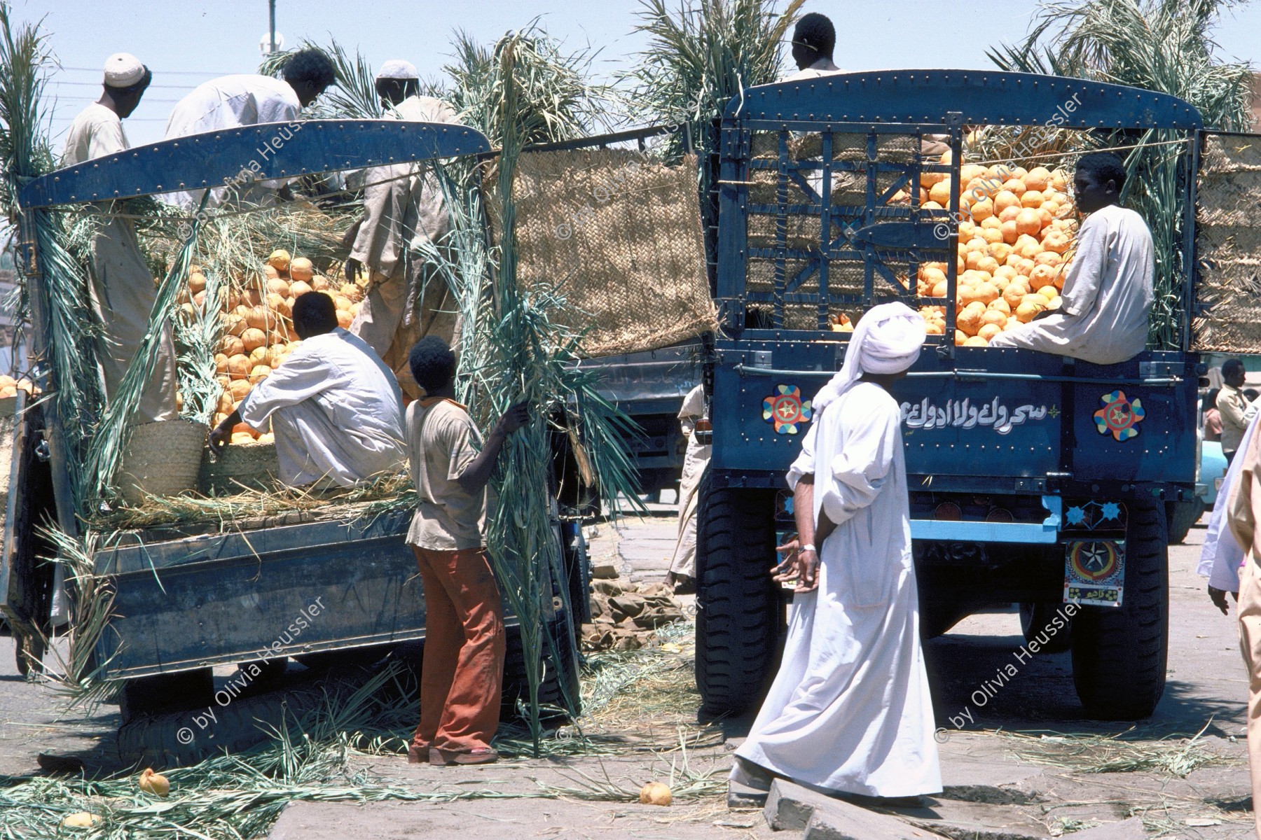 Image of sheet 19823005 photo 41: Männer verkaufen auf einem Lastwagen Orangen.

Men selling oranges on a truck Sudan

√
© 1982, by 0LIVIA HEUSSLER / www.clic.li