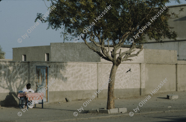 Image of sheet 19823005 photo 50: Die drei Ambulanzen aus der Schweiz werden den Eritreern an der Grenze zum Sudan in Erirtrea übergeben. Gruppenbild der Gruppe. Ein Röntgengerät wird
 transportiert. Durch ein Treppenhaus geschleickt. Elektrisch
 betriebene Kochtöpfe. Olivia kriegt neue Frisur. Zöpfchen. Auf
 einem Schiffsfrack, dass japanische Fahrzeuge transportiert hat liegt auf einem Korallenriff im roten Meer. Kissinger im Hotel El Nilein in Kharthoum Karthum. Afrikanischer Uhrenmacher. Sudan