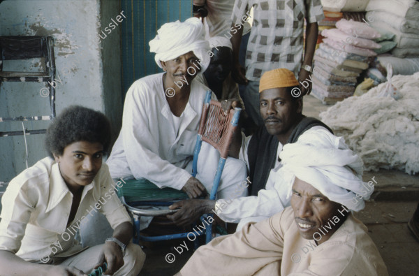 Image of sheet 19823005 photo 55: Die drei Ambulanzen aus der Schweiz werden den Eritreern an der Grenze zum Sudan in Erirtrea übergeben. Gruppenbild der Gruppe. Ein Röntgengerät wird
 transportiert. Durch ein Treppenhaus geschleickt. Elektrisch
 betriebene Kochtöpfe. Olivia kriegt neue Frisur. Zöpfchen. Auf
 einem Schiffsfrack, dass japanische Fahrzeuge transportiert hat liegt auf einem Korallenriff im roten Meer. Kissinger im Hotel El Nilein in Kharthoum Karthum. Afrikanischer Uhrenmacher. Sudan