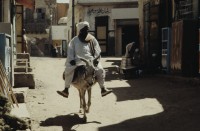 Image of sheet 19823005 photo 56: Die drei Ambulanzen aus der Schweiz werden den Eritreern an der Grenze zum Sudan in Erirtrea übergeben. Gruppenbild der Gruppe. Ein Röntgengerät wird
 transportiert. Durch ein Treppenhaus geschleickt. Elektrisch
 betriebene Kochtöpfe. Olivia kriegt neue Frisur. Zöpfchen. Auf
 einem Schiffsfrack, dass japanische Fahrzeuge transportiert hat liegt auf einem Korallenriff im roten Meer. Kissinger im Hotel El Nilein in Kharthoum Karthum. Afrikanischer Uhrenmacher. Sudan