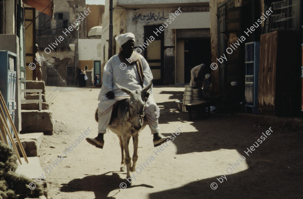 Image of sheet 19823005 photo 56: Die drei Ambulanzen aus der Schweiz werden den Eritreern an der Grenze zum Sudan in Erirtrea übergeben. Gruppenbild der Gruppe. Ein Röntgengerät wird
 transportiert. Durch ein Treppenhaus geschleickt. Elektrisch
 betriebene Kochtöpfe. Olivia kriegt neue Frisur. Zöpfchen. Auf
 einem Schiffsfrack, dass japanische Fahrzeuge transportiert hat liegt auf einem Korallenriff im roten Meer. Kissinger im Hotel El Nilein in Kharthoum Karthum. Afrikanischer Uhrenmacher. Sudan