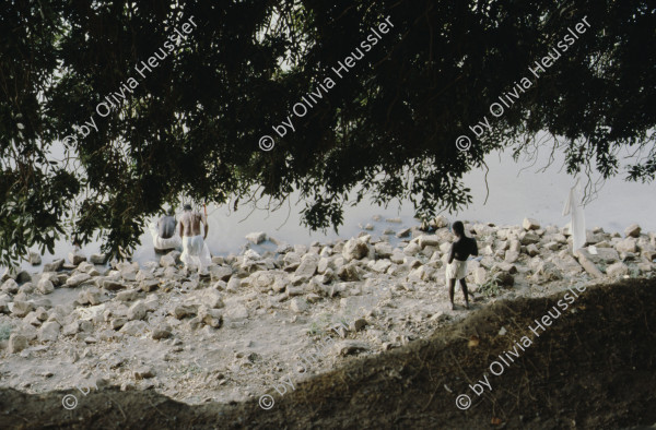 Image of sheet 19823005 photo 57: Die drei Ambulanzen aus der Schweiz werden den Eritreern an der Grenze zum Sudan in Erirtrea übergeben. Gruppenbild der Gruppe. Ein Röntgengerät wird
 transportiert. Durch ein Treppenhaus geschleickt. Elektrisch
 betriebene Kochtöpfe. Olivia kriegt neue Frisur. Zöpfchen. Auf
 einem Schiffsfrack, dass japanische Fahrzeuge transportiert hat liegt auf einem Korallenriff im roten Meer. Kissinger im Hotel El Nilein in Kharthoum Karthum. Afrikanischer Uhrenmacher. Sudan