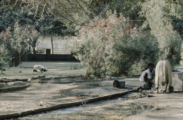 Image of sheet 19823005 photo 58: Die drei Ambulanzen aus der Schweiz werden den Eritreern an der Grenze zum Sudan in Erirtrea übergeben. Gruppenbild der Gruppe. Ein Röntgengerät wird
 transportiert. Durch ein Treppenhaus geschleickt. Elektrisch
 betriebene Kochtöpfe. Olivia kriegt neue Frisur. Zöpfchen. Auf
 einem Schiffsfrack, dass japanische Fahrzeuge transportiert hat liegt auf einem Korallenriff im roten Meer. Kissinger im Hotel El Nilein in Kharthoum Karthum. Afrikanischer Uhrenmacher. Sudan