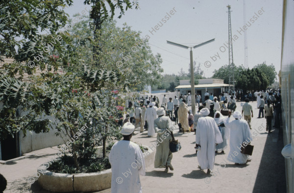 Image of sheet 19823005 photo 63: Aegypten und Sudan mit Jeeps für Eritrea 1982.