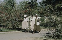Image of sheet 19823005 photo 65: Aegypten und Sudan mit Jeeps für Eritrea 1982.