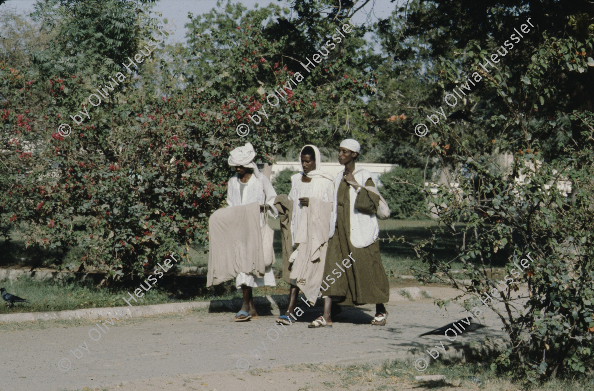 Image of sheet 19823005 photo 65: Aegypten und Sudan mit Jeeps für Eritrea 1982.