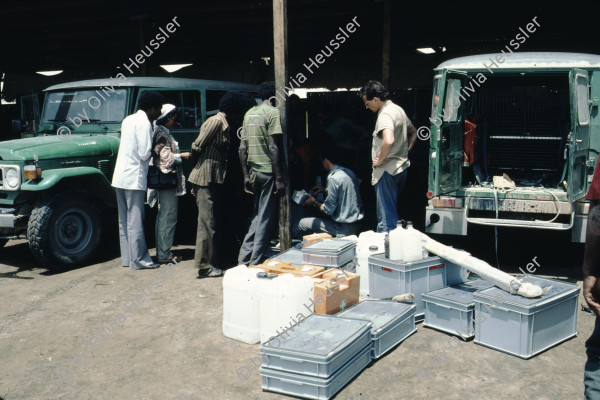 Image of sheet 19823005 photo 66: Eritrea 1982. Koni Frei